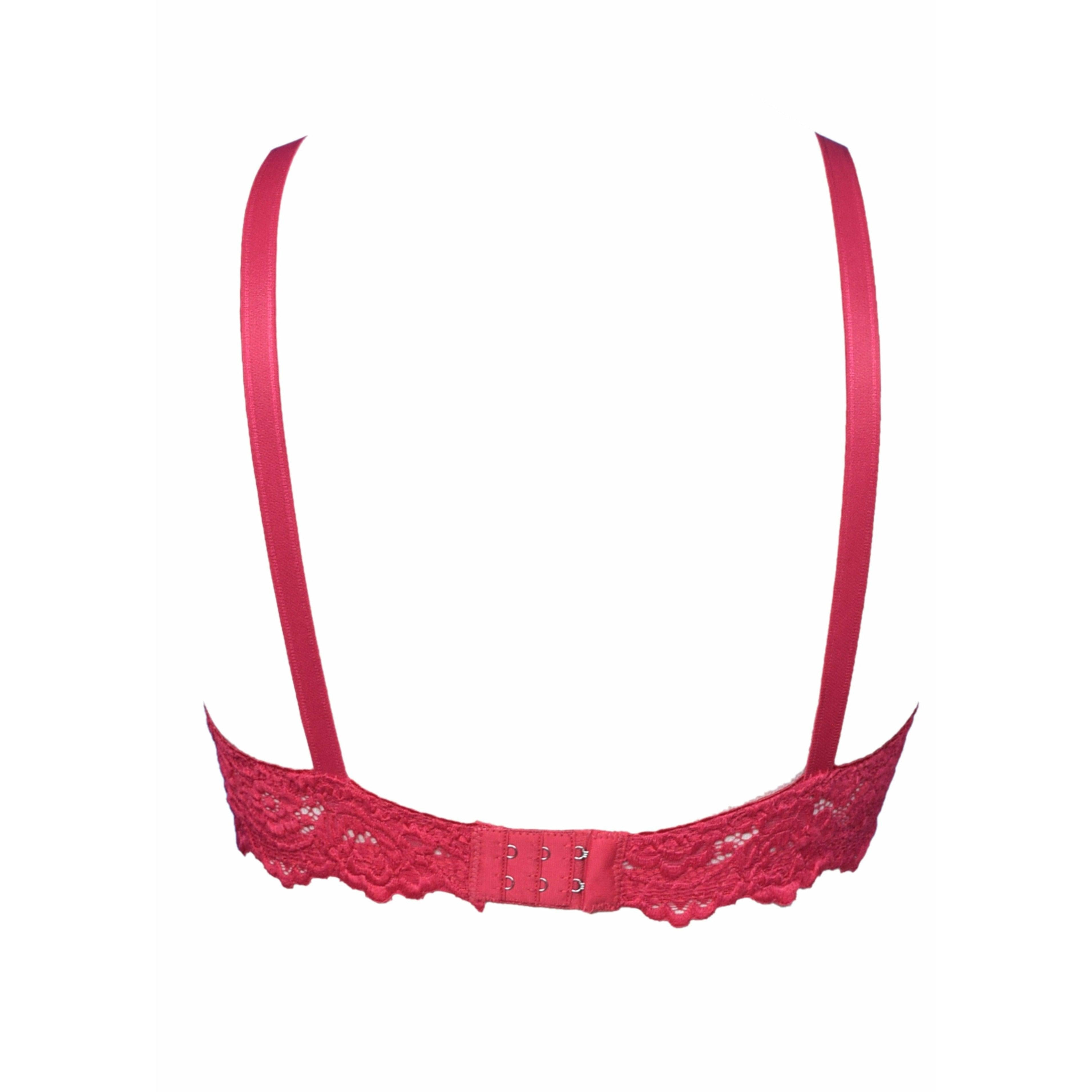 Skin Broom - Wired / Non-Wired Light Padded European Laced Imported Bra