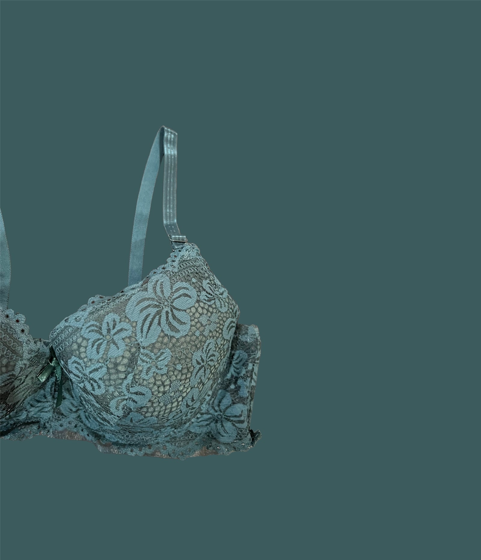 Tea Pink Floral Lacy Padded Bra