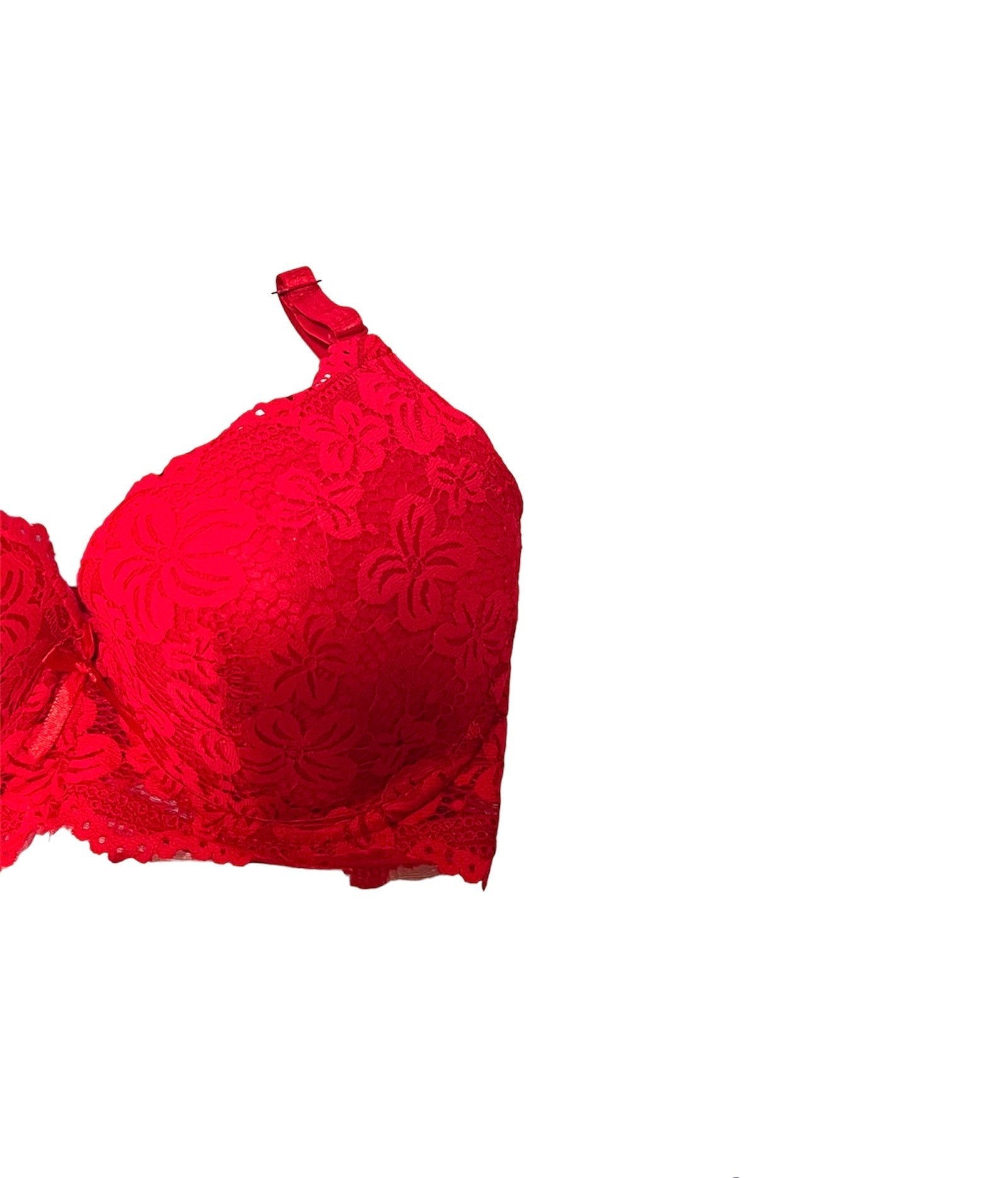 Red Floral Lacy Padded Bra