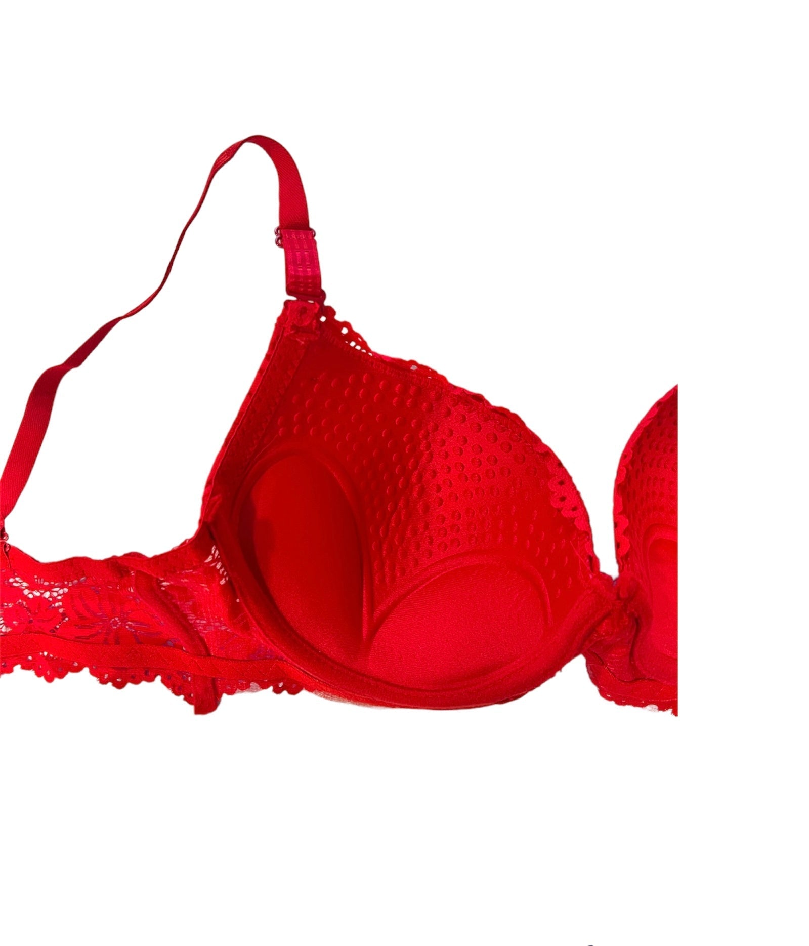 Tea Pink Floral Lacy Padded Bra